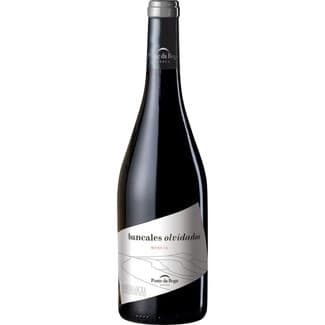 Bancales Olvidados vino tinto mencía DO Ribera Sacra botella 75 cl -