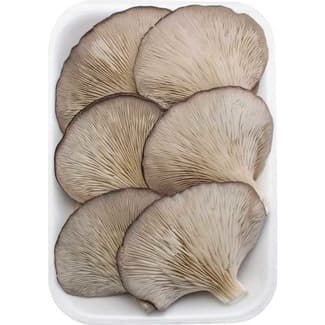 Setas cultivadas bandeja 400 g