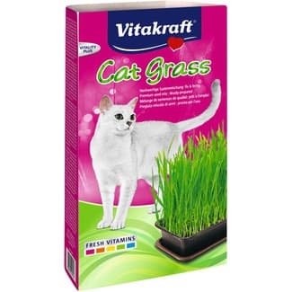 Cat Grass hierba snack para gatos caja 120 g -