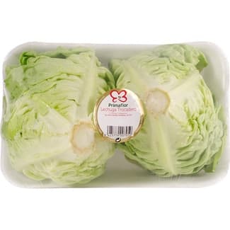 Lechuga trocadero bandeja 2 unidades -