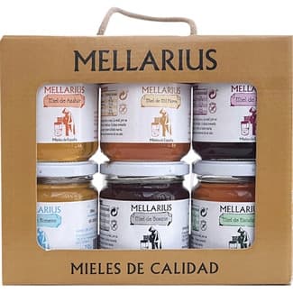 Mieles de eucalipto, azahar, mil flores, bosque, romero y brezo 6 tarros de 250 g -
