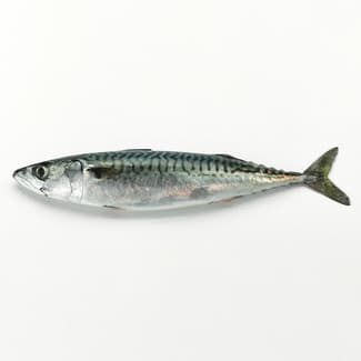 Caballa peso aproximado pieza 300 g