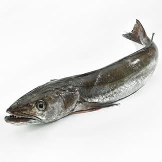 Merluza de pincho por medias o enteras peso aproximado pieza 3-4 kg