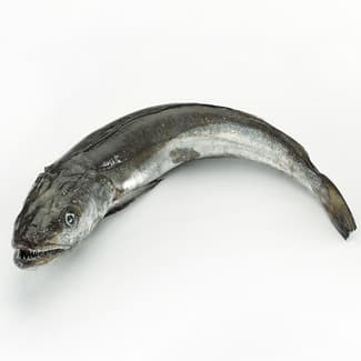 Merluza de pincho peso aproximado pieza 1-2 kg