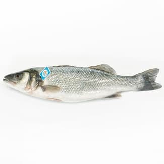 Lubina nacional de crianza peso aproximado pieza 1,4-1,8 kg