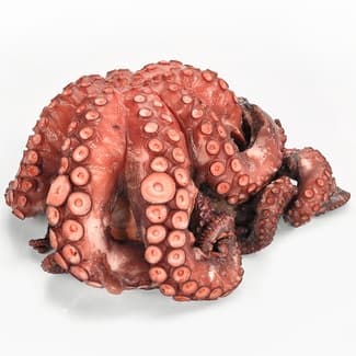Pulpo cocido grande peso aproximado pieza 2,5 kg