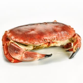 Buey de mar cocido peso aproximado pieza 800 g