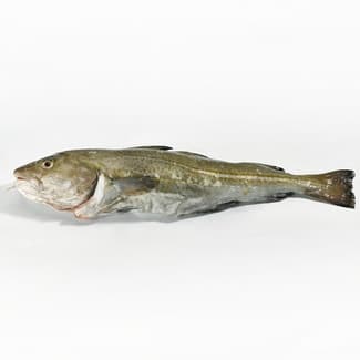 Bacalao entero peso aproximado pieza 1-2 kg