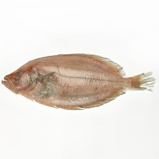 Gallo para filetes peso aproximado pieza 800-1,2 kg