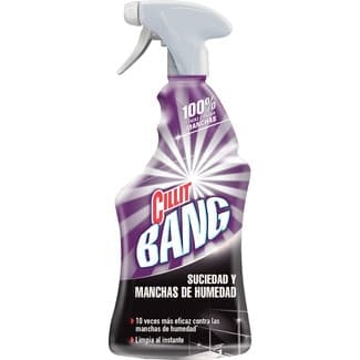 Instant Power limpiador suciedad & manchas de humedad spray 750 ml -