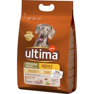 Medium Maxi Adult pienso para perros adultos medianos y grandes con pollo bolsa 3 kg -
