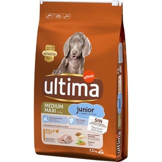 Medium Maxi Junior pienso para perros adultos medianos y grandes con pollo bolsa 7,5 kg -