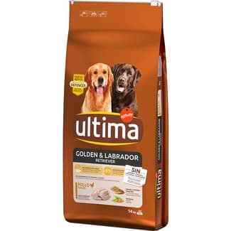Golden & Labrador Retriever pienso para perros con pollo saco 14 kg -