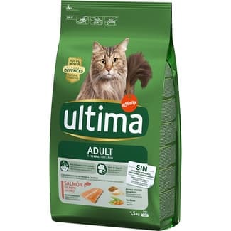 Adult pienso para gatos adultos con salmón bolsa 1,5 kg -