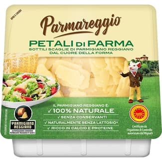 Queso en láminas DOP Parmigiano Reggiano paquete 100 g -