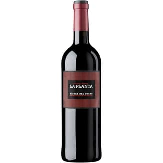 Vino tinto roble 6 meses DO Ribera del Duero botella 75 cl -
