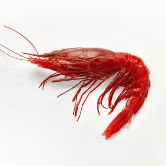 Carabineros terciados 16-22 piezas/kg