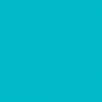 Servilleta de papel 3 capas azul 33 x 33 cm paquete 30 unidades -