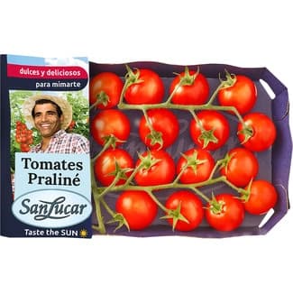 Tomate cherry rama praliné dulces y deliciosos tarrina 200 g -