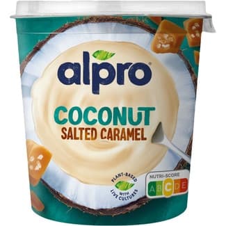 Big Pot especialidad vegetal de coco con caramelo salado sin gluten sin lactosa envase 340 g -