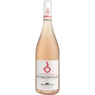 Vino rosado Vino de la Tierra de Cádiz botella 75 cl -