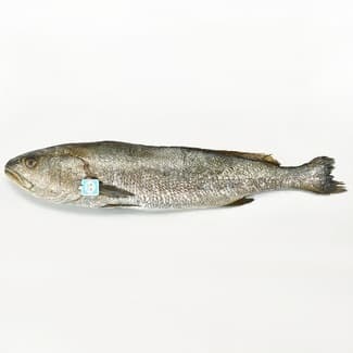 Corvina nacional ASC peso aproximado pieza 1-2,5 kg