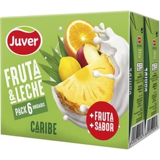 Bebida de zumo de frutas Caribe con leche desnatada a partir de concentrado pack 6 briks 200 ml -