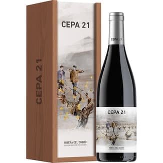 Vino tinto reserva DO Ribera del Duero magnum 1,5 l -