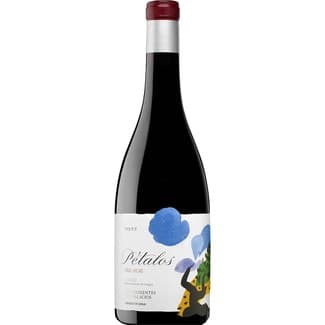 Vino tinto crianza DO Bierzo botella 75 cl -