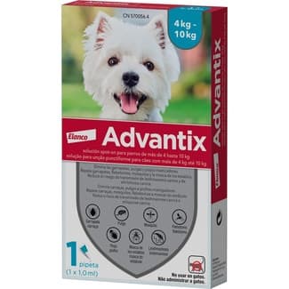 100 mg + 500 mg solución spot-on para perros (> 4 kg <10 kg) envase 1 unidad -