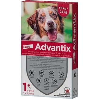 250 mg + 1250 mg solución spot-on para perros (> 10 kg <25 kg) envase 1 unidad -