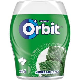 Chicles de hierbabuena sin azúcar 46 unidades bote 64 g -