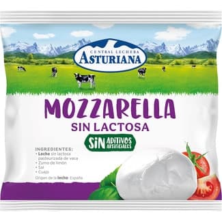 Mozzarella fresca sin lactosa bolsa 125 g neto escurrido -