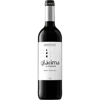 Vino tinto joven DO Somontano botella 75 cl -