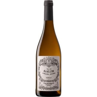 Vino blanco godello sobre lías DO Valdeorras botella 75 cl -