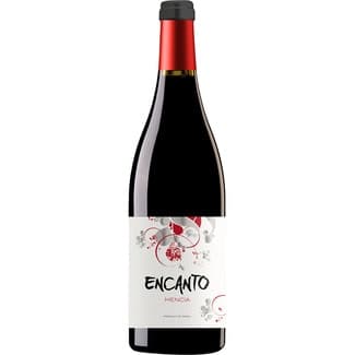 Vino tinto mencía DO Bierzo botella 75 cl -