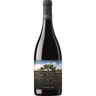 Vino tinto La Garnacha Salvaje del Moncayo Vino de la Tierra Ribera del Queiles botella 75 cl -