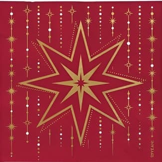 Servilleta Navidad Estrella roja doble capa 33x33 paquete 30 unidades -