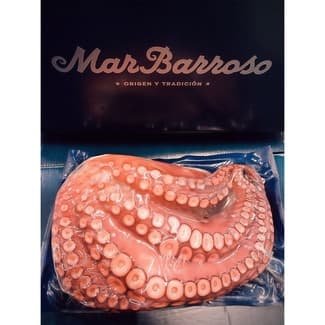 Medio pulpo cocido peso aproximado pieza 1-2 kg -