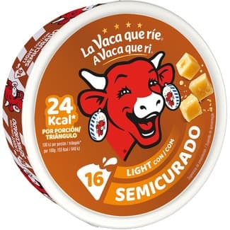 Queso fundido con queso semicurado light 16 porciones caja 250 g -