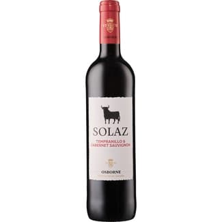 Vino tinto tempranillo y cabernet sauvignon Vino de la Tierra de Castilla botella 75 cl -